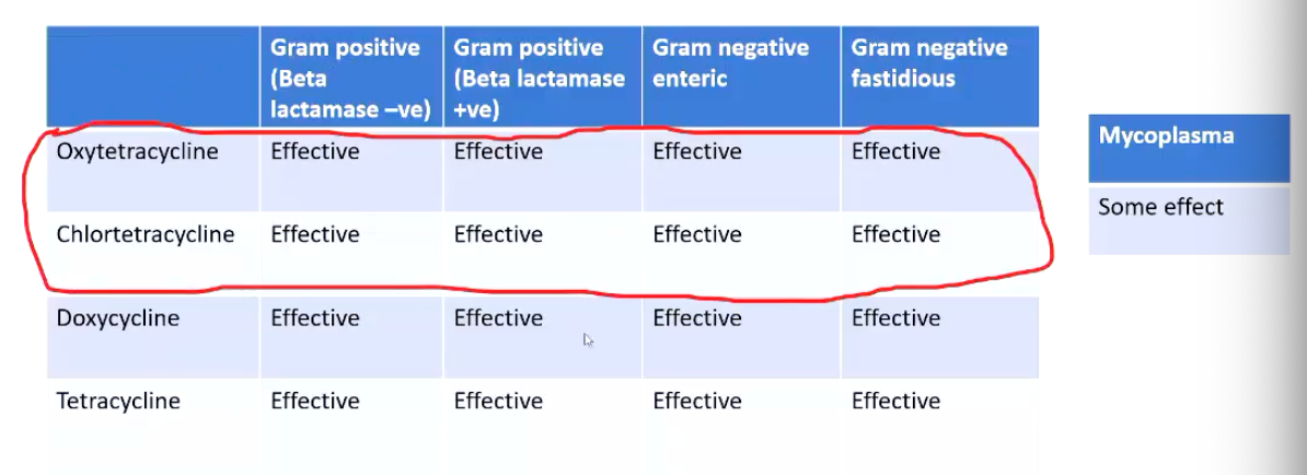 <p><strong>Tetracyclines</strong></p><p>• Inhibit bacterial protein synthesis</p><p>• Bacteriostatic</p><p>• Broad spectrum</p><p>• Variable activity against mycoplasma</p><p>• Concentrate well in areas of inflammation due to their pH</p><p>• Antagonistic to Beta lactams</p><p></p><p><strong><u>Spectrum of Activity</u></strong></p><ul><li><p>**Circle = commonly used in large animal medicine</p></li><li><p>Image</p></li></ul><p></p>