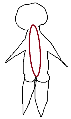 <p>Spinal column region</p>