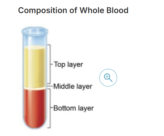 <p>What does the bottom layer consist of?</p>