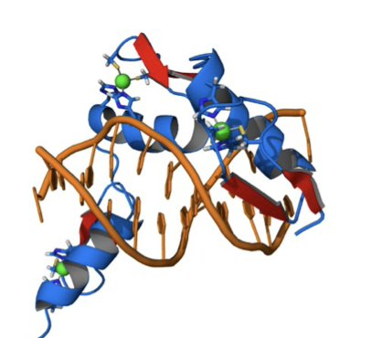 <p>what structure is this?</p>