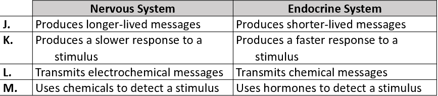 <p><span style="font-family: "Amasis MT Pro Light";">Which one of the following combinations correctly compares a feature of the nervous system with a feature of the endocrine system?</span></p>