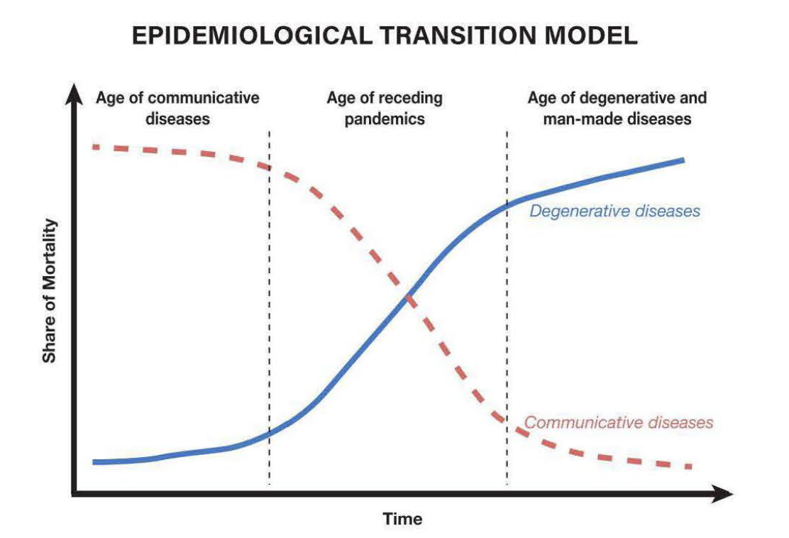 <p>Explains the changing death rates and more common causes of death within societies. </p>