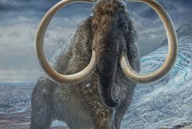 <p><strong>Mammoth </strong></p>