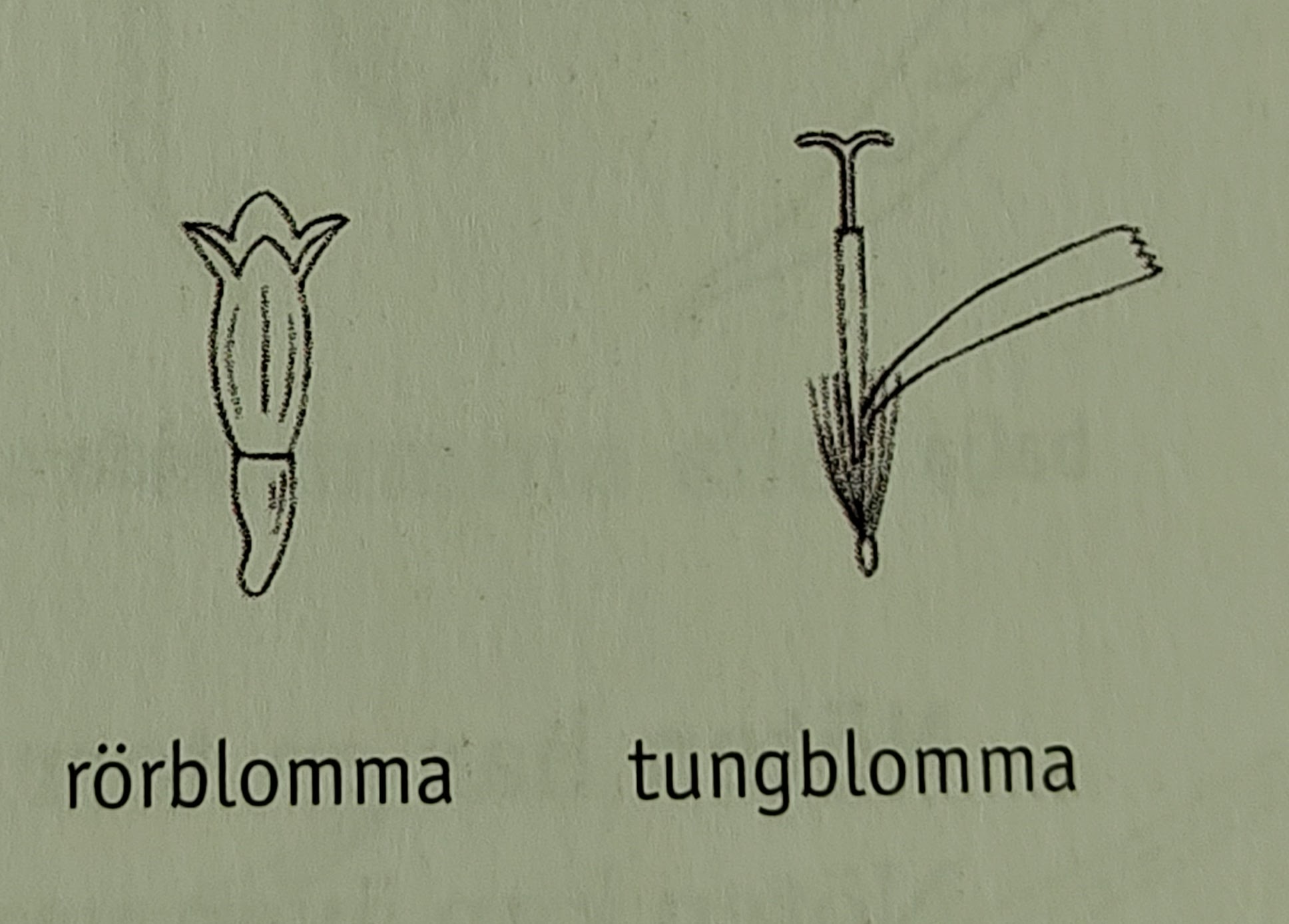 <p></p>