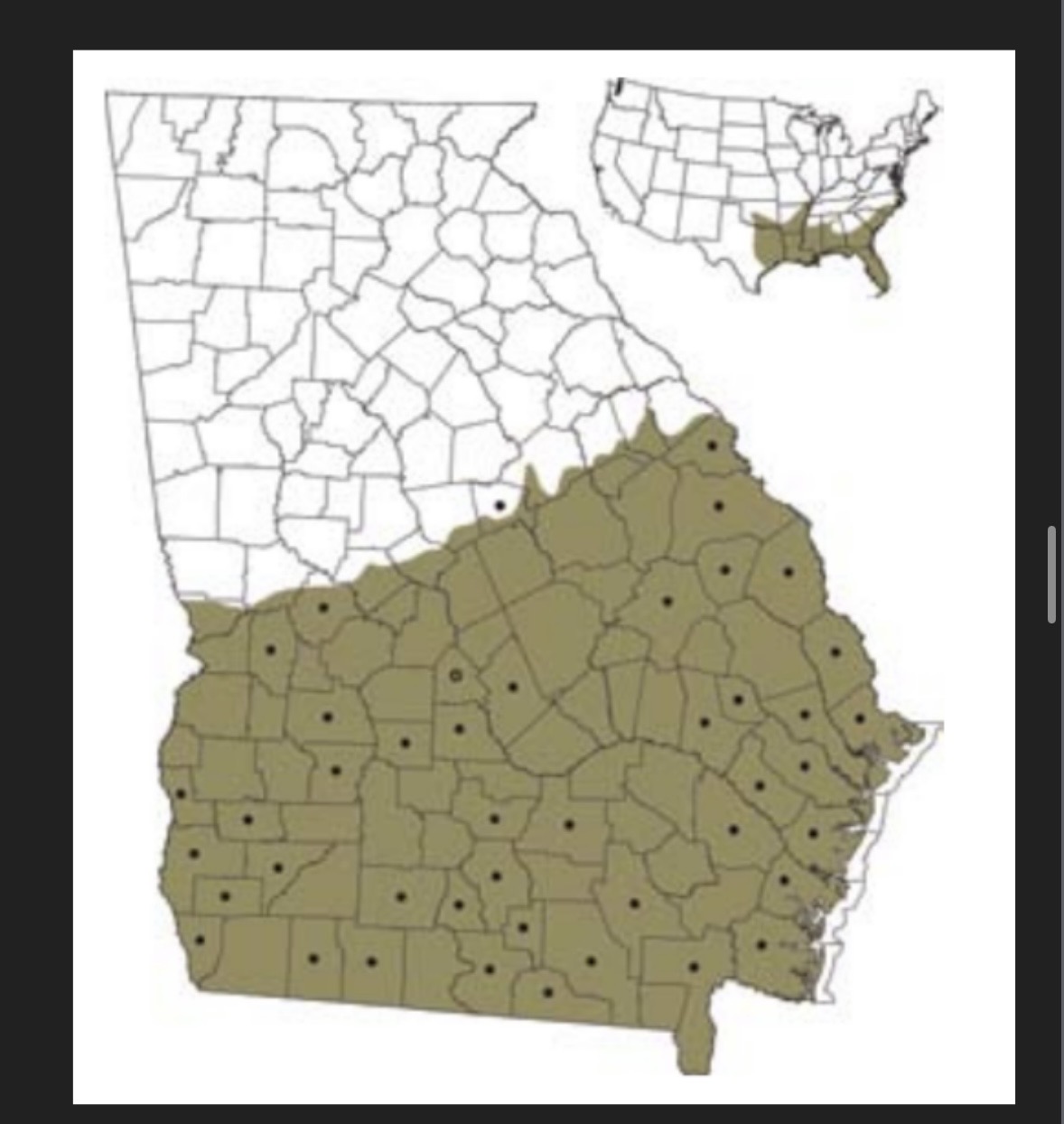 <p>Open-canopied seasonal wetlands that hold water from winter through summer with population of crayfish and aquatic insects (carnivorous) </p><p>Will bury themselves in seasonal wetlands until water refills </p>