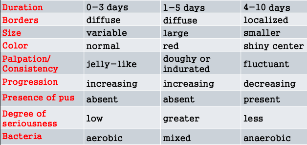 <p>4-10 days</p><p>localized borders</p><p>smaller size</p><p>shiny center color</p><p>fluctuant consistency</p><p>decreasing progression</p><p>presence of pus</p><p>less degree of seriousness</p><p>anaerobic bacteria</p>