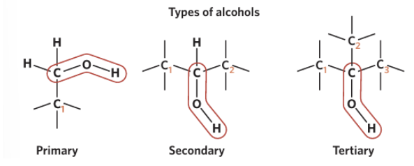<p><span style="background-color: inherit; line-height: 20.7px; color: windowtext;">The categorisation of an alcohol depends on the <u>number of alkyl groups bonded to the carbon atom that the hydroxyl group is bonded to</u></span><span style="line-height: 20.7px; color: windowtext;">&nbsp;</span></p><p class="Paragraph SCXO159126462 BCX0" style="text-align: left;"><span style="line-height: 20.7px; color: windowtext;">&nbsp;</span></p><ul><li><p class="Paragraph SCXO159126462 BCX0" style="text-align: left;"><span style="background-color: inherit; line-height: 20.7px; color: windowtext;">In a <u>primary</u> alcohol, the carbon atom bonded to the hydroxyl group is bonded to only <u>one</u> alkyl group</span><span style="line-height: 20.7px; color: windowtext;">&nbsp;</span></p></li><li><p class="Paragraph SCXO159126462 BCX0" style="text-align: left;"><span style="background-color: inherit; line-height: 20.7px; color: windowtext;">In a <u>secondary</u> alcohol, the carbon atom bonded to the hydroxyl group is bonded to <u>two</u> alkyl groups</span><span style="line-height: 20.7px; color: windowtext;">&nbsp;</span></p></li><li><p class="Paragraph SCXO159126462 BCX0" style="text-align: left;"><span style="background-color: inherit; line-height: 20.7px; color: windowtext;">In a <u>tertiary</u> alcohol, the carbon atom bonded to the hydroxyl group is bonded to <u>three</u> alkyl groups</span><span style="line-height: 20.7px; color: windowtext;">&nbsp;</span></p></li></ul><p></p>