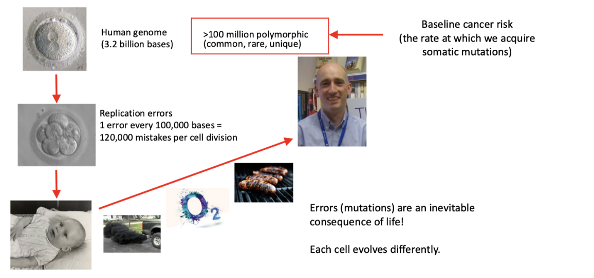 <p>errors/mutations are inevitable</p>
