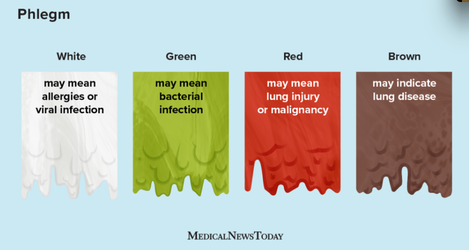 <p><mark data-color="#fcff3b" style="background-color: rgb(252, 255, 59); color: inherit;">Asking questions</mark></p><p>"Do you any problems with breathing?”</p><ul><li><p>“Do you have it at rest or with activity?”</p></li></ul><p>“Do you have a cough?”</p><ul><li><p>“Do you cough up any phlegm or sputum?”</p></li><li><p>-      “How much?”</p></li></ul><ul><li><p>-      “What color is it?”</p></li></ul><ul><li><p>-      “What is the consistency?”</p></li></ul><ul><li><p>-      “Are you coughing up any blood?”</p></li></ul><p></p>