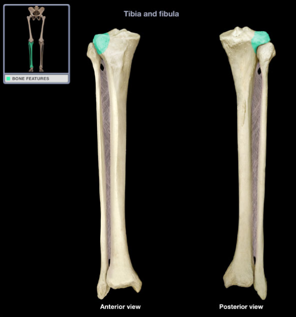 <p>What is the name of this structure?</p>