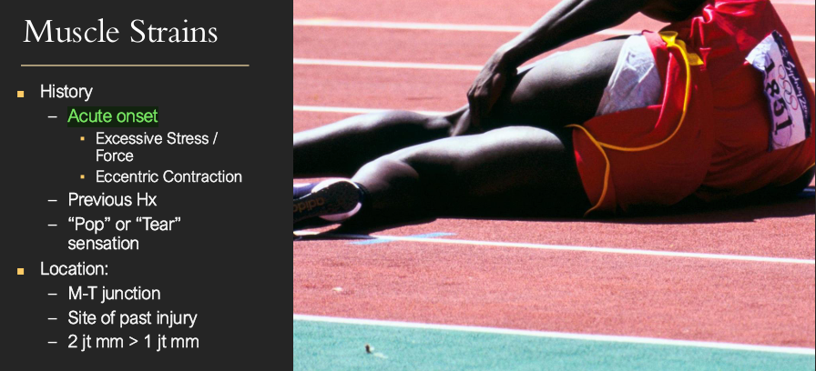 <p><span style="color: red;"><strong>Muscle Strain</strong></span></p>