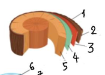 <p>Chú thích 1-5</p>