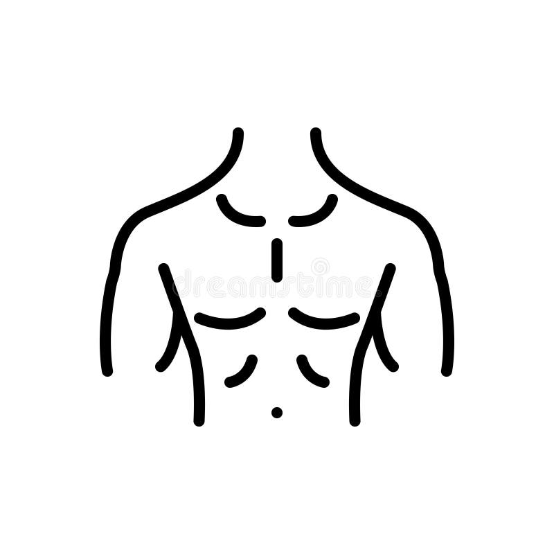 <p>chest</p>