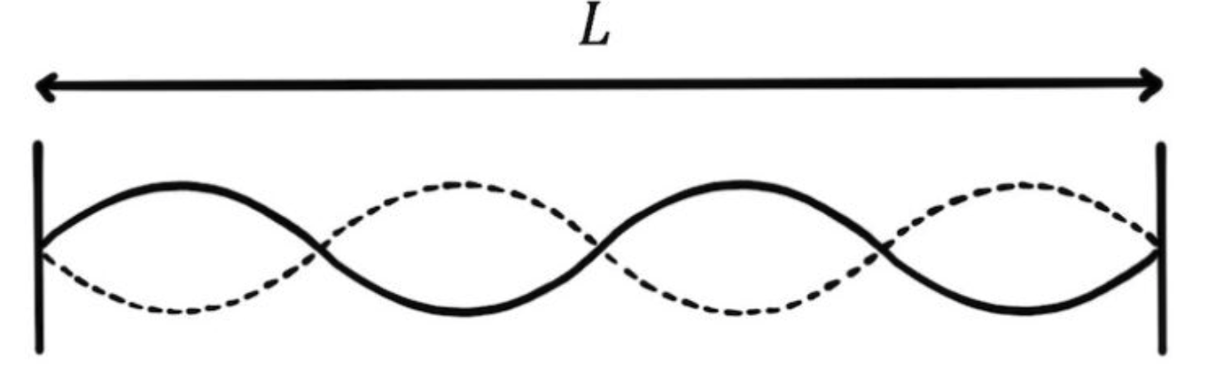 <p>Note: Each image shows one ‘L’</p>