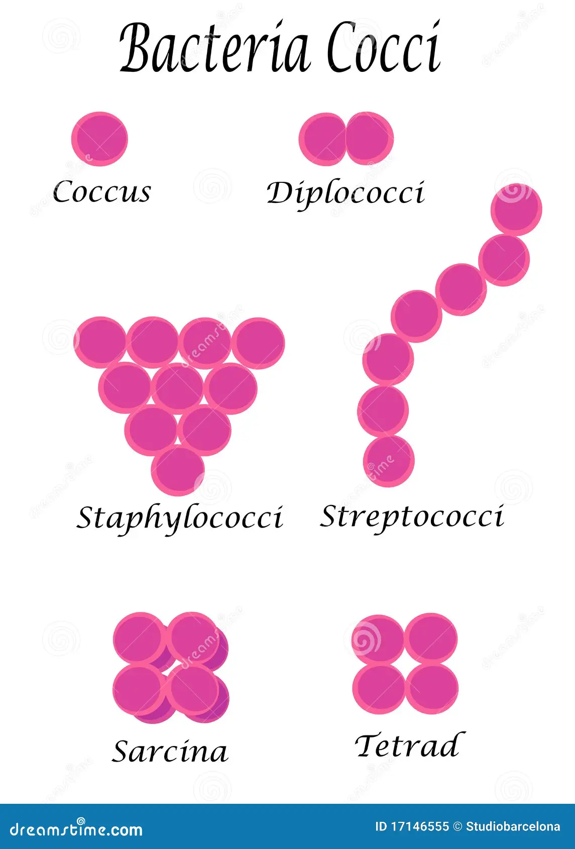 <p>Round.</p>
