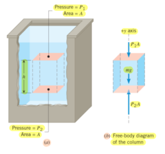 <p>Consider a sample of liquid of cross-sectional area (A) and height (h) in static equilibrium. Then, the net ↑ force = 0.</p><p>----> P(deeper level) = P(upper level) + ρgh</p><p>The pressure increases as you go deeper in the liquid if it is in static equilibrium. Pressure is constant at the same depth if the liquid is in static equilibrium.</p>