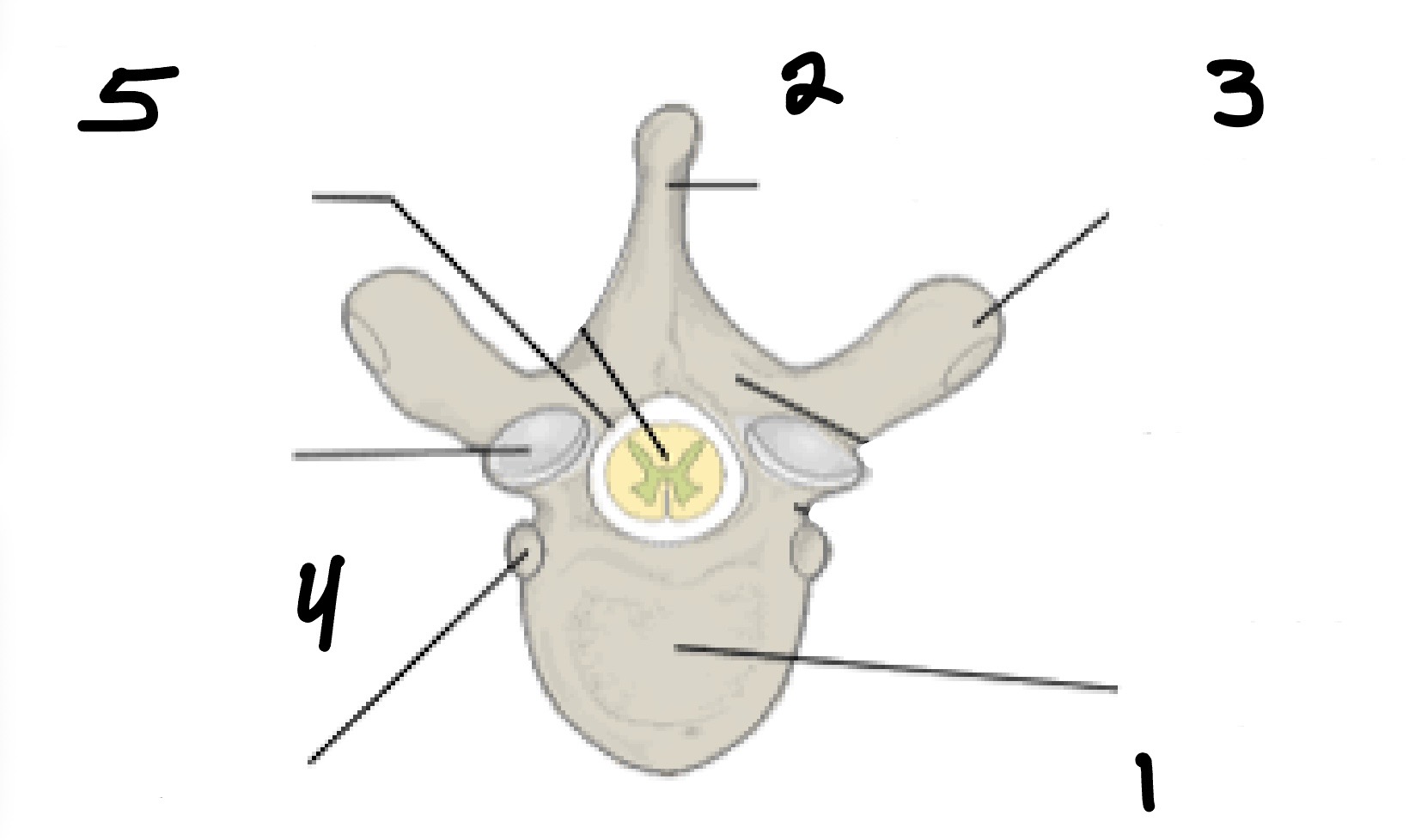 <p>2</p>