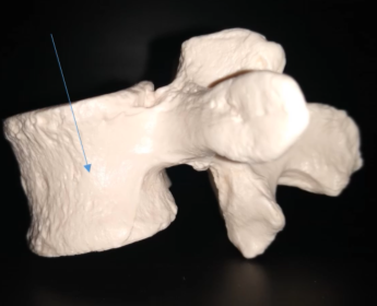 <p>What is this?</p>