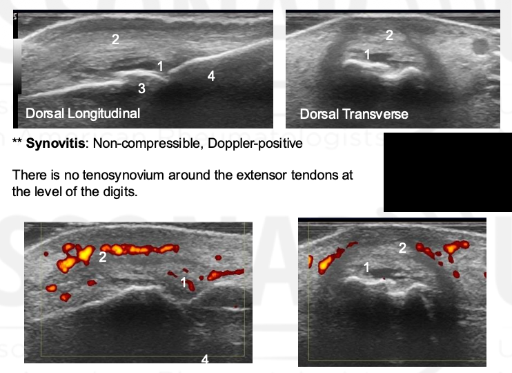 <p>What view is this?</p>