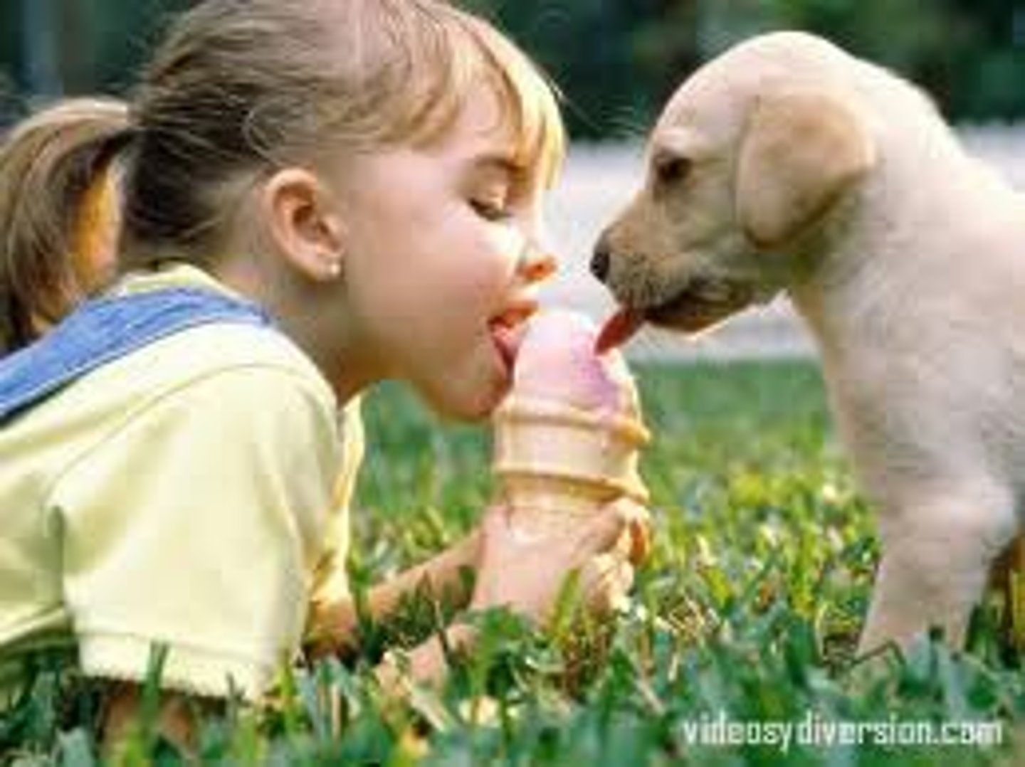 <p>to share, do you share your clothing with your brothers and sisters? No, I do not share my clothing</p>