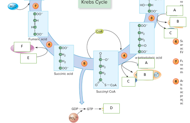 <p>What belongs in Box B</p>