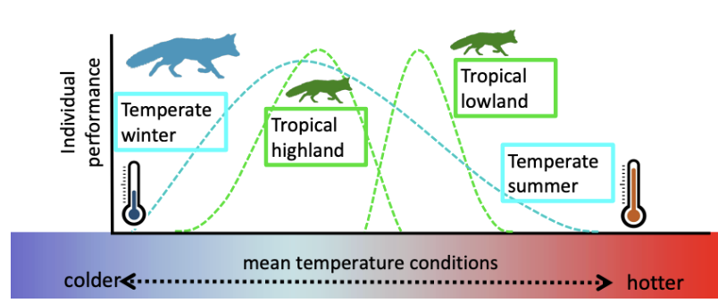 <p>Temperate vs tropical thermal niches</p>