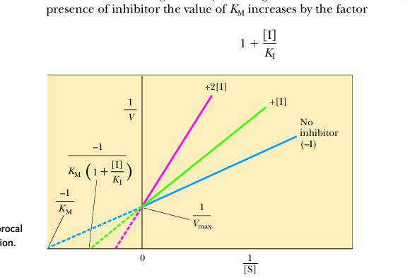 <p>competitive inhibitor</p>