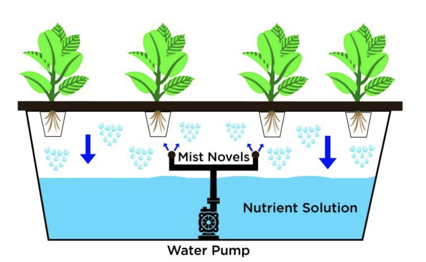 knowt flashcard image