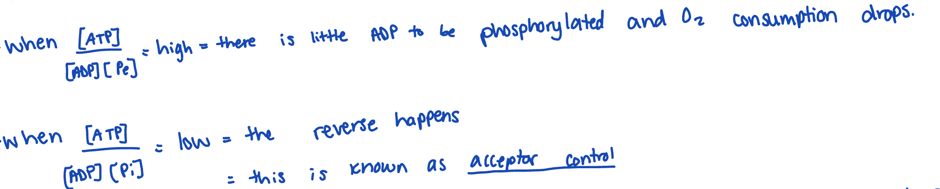 <ul><li><p>normally ATP synthesis and ETC are coupled </p></li><li><p>ATP us formed only as fast as it is consumed </p></li><li><p>ATP synthase cannot spin if ADP + PI are not bound to the loose alpha beta </p></li></ul><p></p>