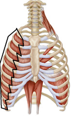 <p>Identify the structure</p>