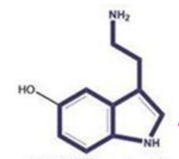 <p>what compound is this? </p>