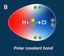 <p>boded atomas have <strong>different </strong>electronegativities </p>