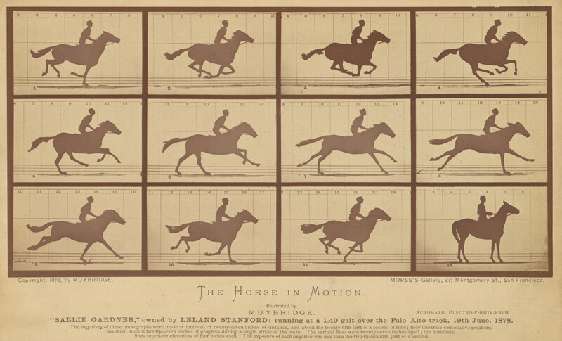 <ol start="117"><li><p>The Horse in Motion</p></li></ol><p></p>