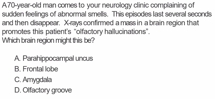 <p>hallucination: parahippocampal uncus</p><p>amygdala: fear, lesion in amygdala results in loss of fear</p><p><u>why is parahippocampal uncus the correct answer</u>?</p><p>This question is describing <strong>olfactory hallucinations</strong> (also called <em>phantosmia</em>) that are:</p><ul><li><p>sudden</p></li><li><p>brief</p></li><li><p>episodic</p></li></ul><p>This is <strong>classic for temporal lobe (uncinate) seizures</strong>.</p><p><strong>Parahippocampal Uncus</strong> Definition</p><p>The <strong>uncus</strong> is the <strong>medial, anterior part of the parahippocampal gyrus</strong> in the <strong>temporal lobe</strong>, and it contains part of the <strong>primary olfactory cortex (piriform cortex + amygdala connections)</strong>.</p><ul><li><p><strong>Uncus</strong> = Latin for <em>“hook”</em><br>→ hook-shaped structure </p></li></ul><p></p>