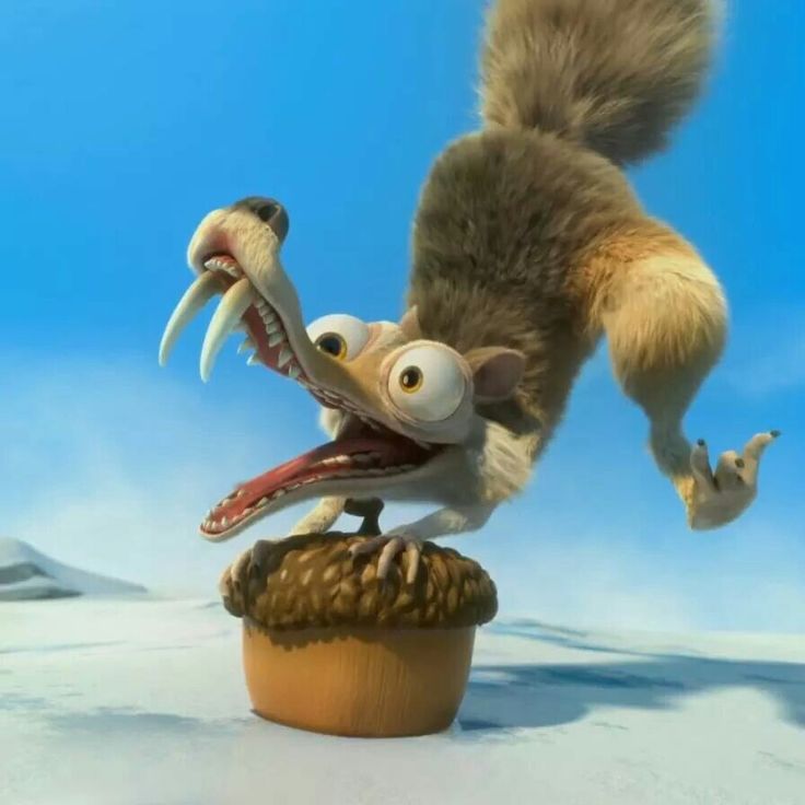 <p>physiological needs </p>