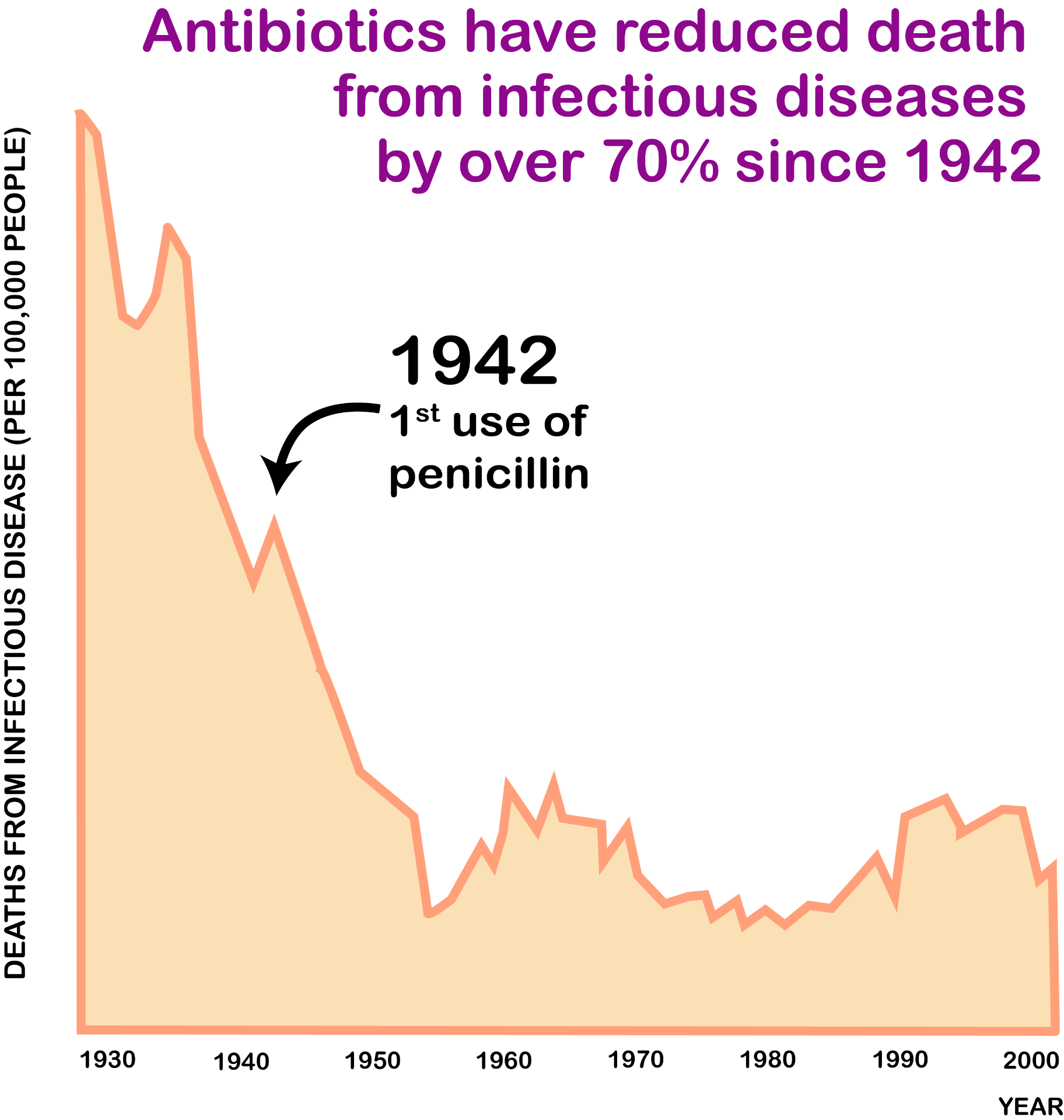 <p>-penicillin discovered in 1928 by Alexander Fleming, mold contaminant prevented bacterial growth</p><p>-1942 first used of penicillin</p>