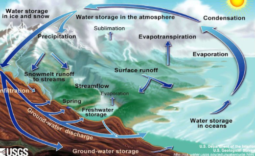 <p>Name the cycle</p>