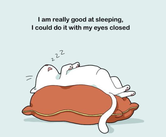 <p>I like (sleep)</p>