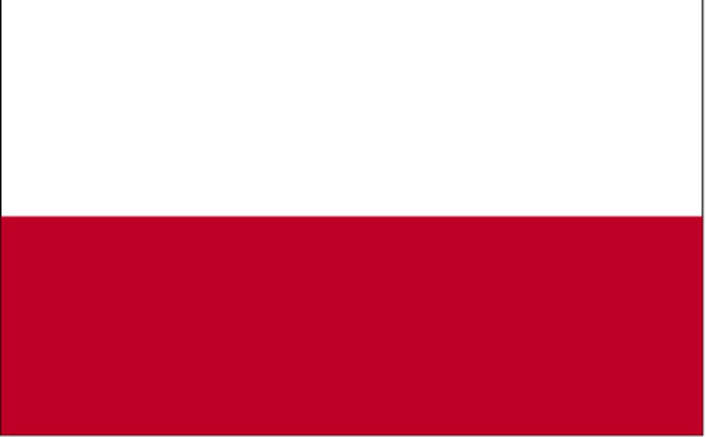 <p>la Pologne, polonais, un Polonais (3x)</p>