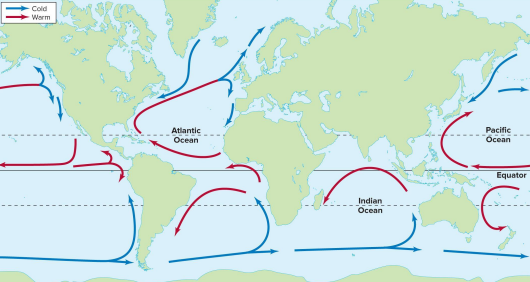 <p>Ocean currents </p>