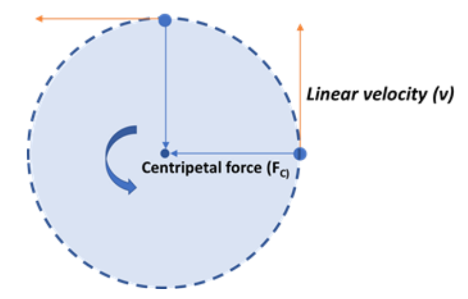 <p>perpendicular</p><p>If the centripetal force is removed, the object will travel in a linear path perpendicular to the circular path it was originally on</p>