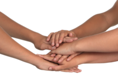 <p>el compromiso</p>