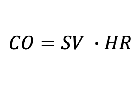 <p>What do each of these variables mean?</p>