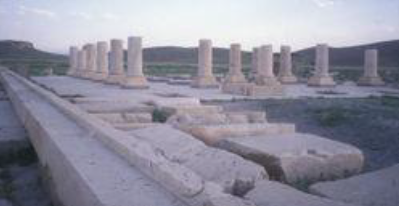 term image