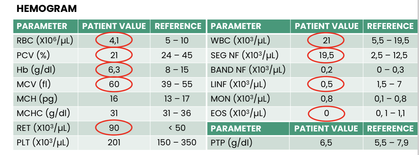 <p>Q1. What does this hemogram show?</p><p>Q2. What is the ethology of this anemia?</p><p>Q3. Finally, what is the conclusion?</p>