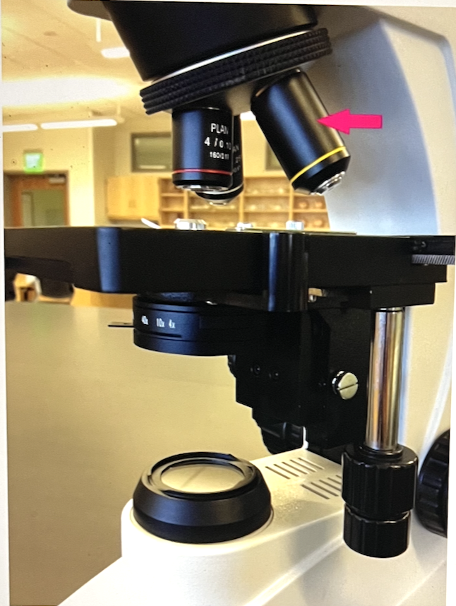 <p>Identify the microscope part</p>