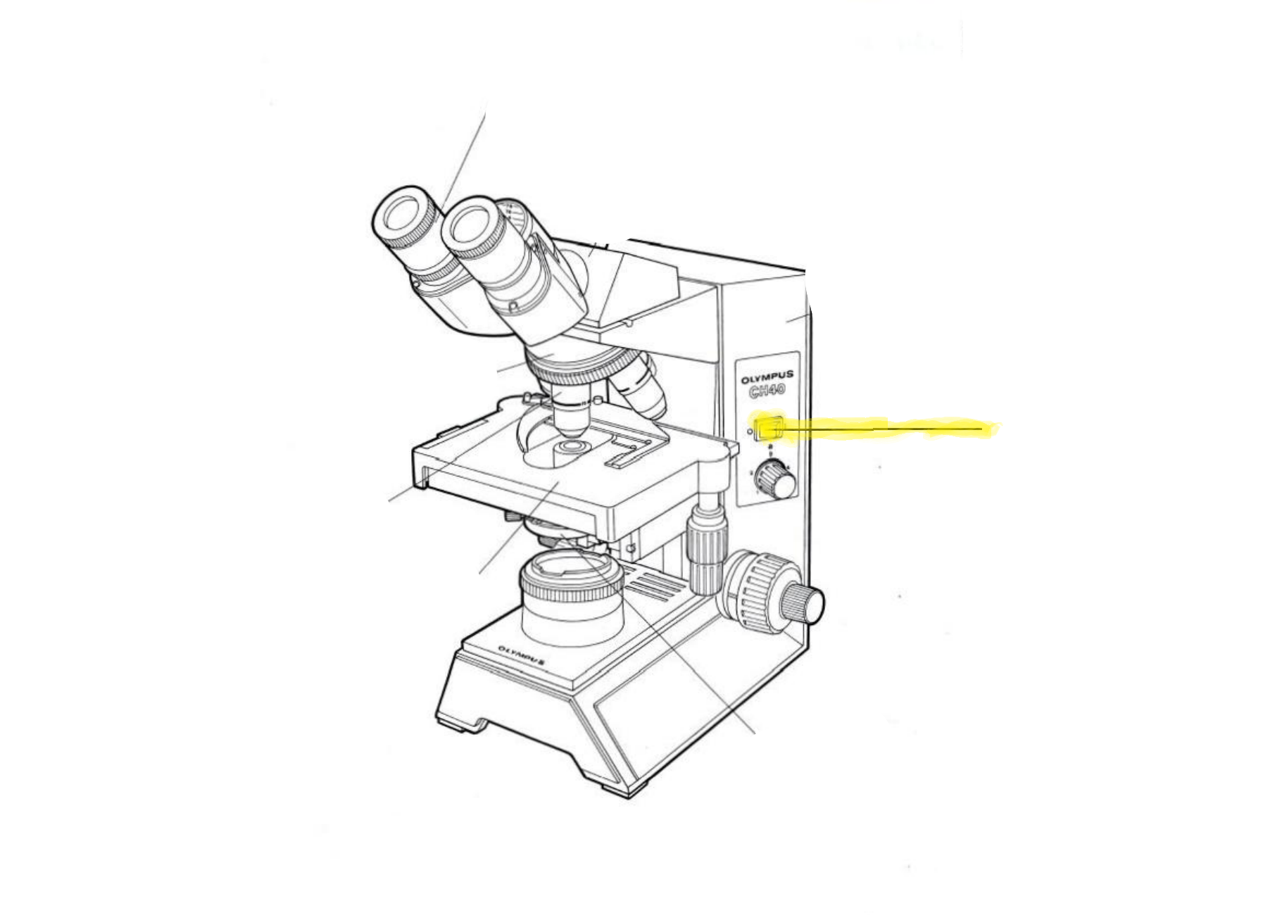 <p>Label the part of the microscope highlighted in yellow</p>