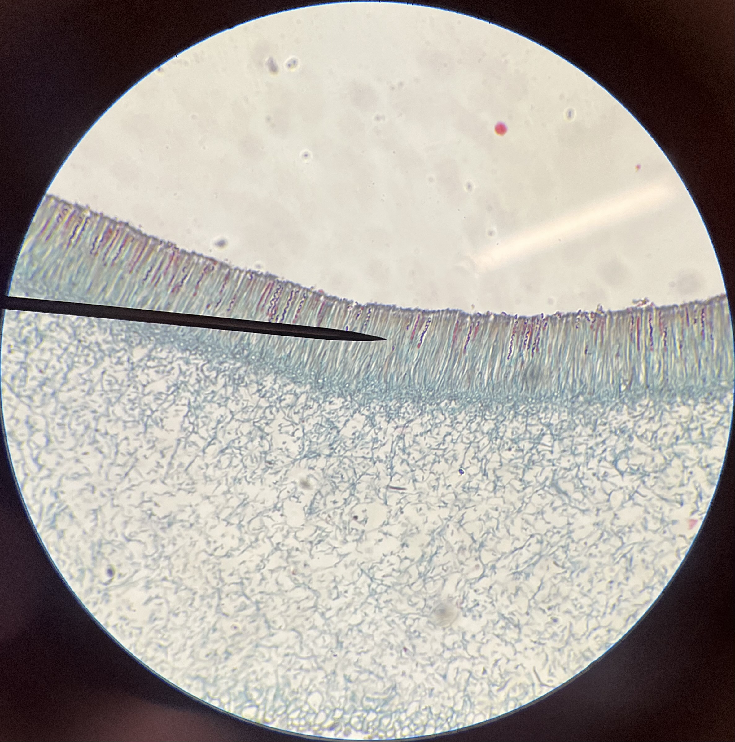 <p>What is the pointer on?</p>