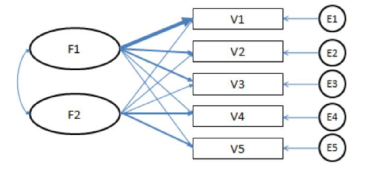 <p>Difference between EFA and CFA diagrams</p>