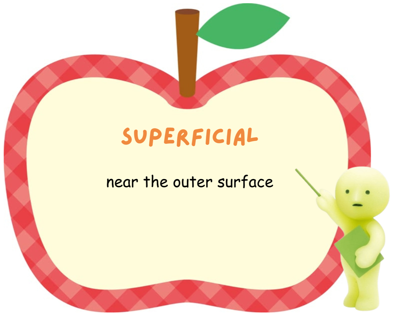 <p>superficial</p>